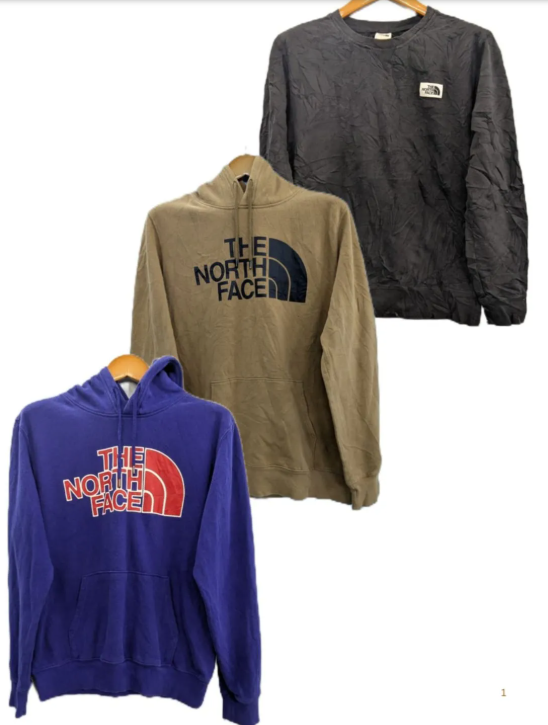 The North face Hoodies (12pcs)