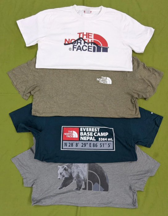 The North face Tshirts (14pcs)