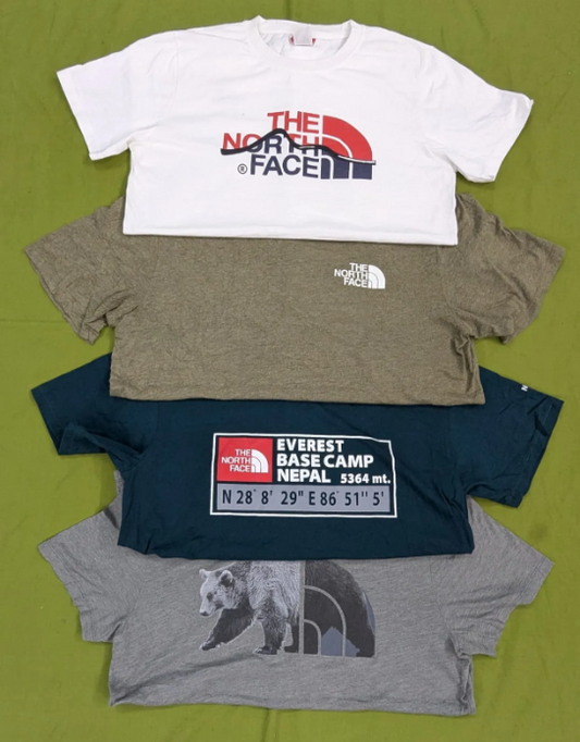 The North face Tshirts (14pcs)